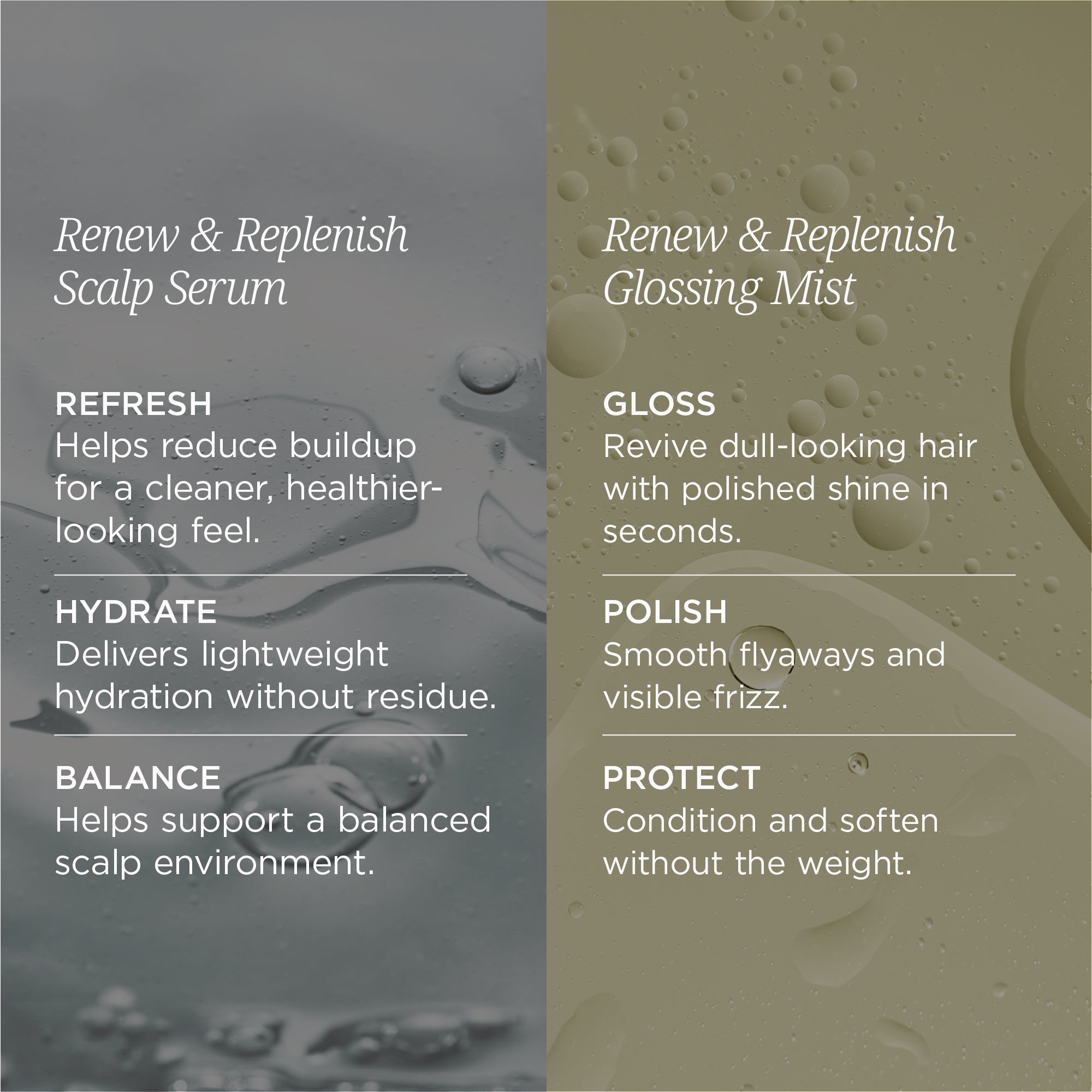Renew & Replenish Scalp & Shine Duo
