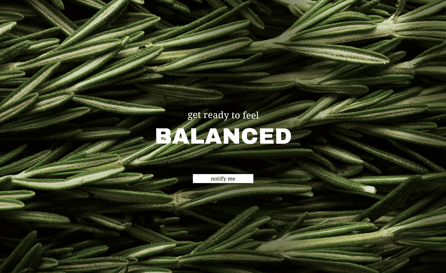 TeaserBannerWeb.gif
